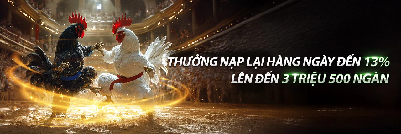 Hình ảnh hướng dẫn cá cược thể thao huebet nhà cái